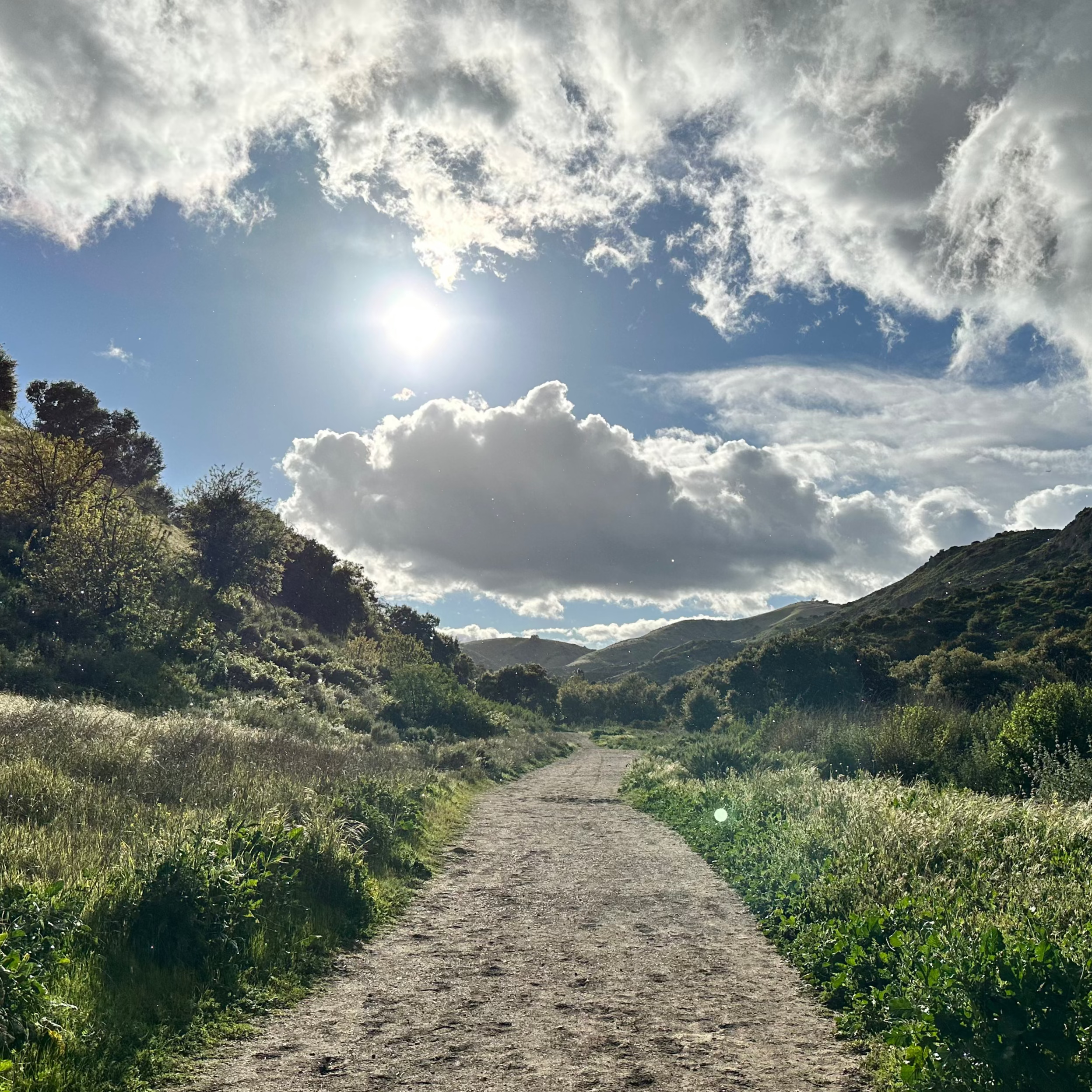 Winding dirt path through a lush green landscape with mountains and clouds in the sky. Photo Taken by Founder in March 2024.